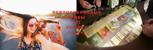 тгк Каменногорск