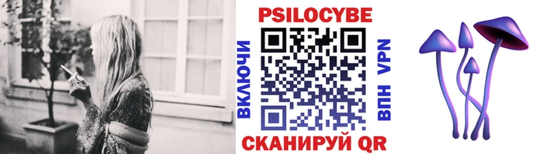 Псилоцибиновые грибы Psilocybe  Красноуфимск 